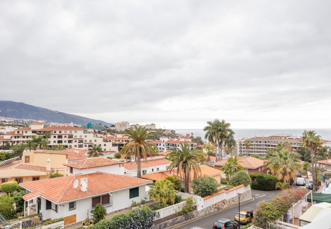 Estudio en Puerto de la Cruz - Casa Salamandra VV con terraza, vistas y 300Mb 