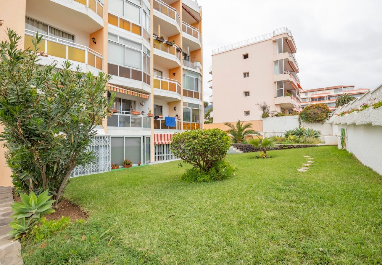 Estudio en Puerto de la Cruz - Casa Salamandra VV con terraza, vistas y 300Mb 