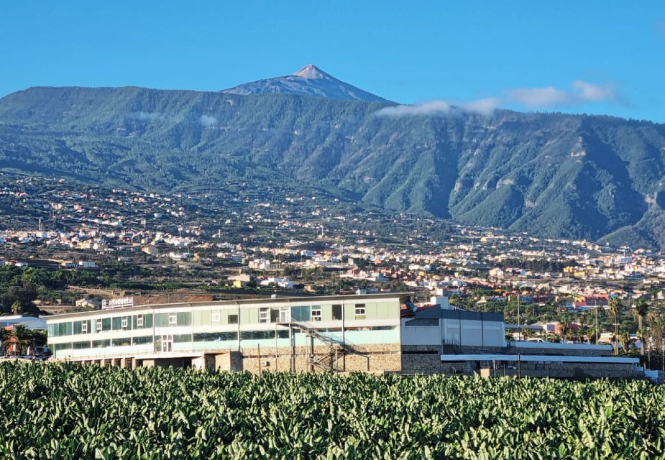 Villa en Puerto de la Cruz - VILLA LOLA CON ESPECATULARES VISTAS AL VALLE Y AL MAR