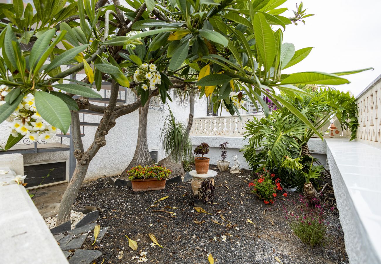 Apartment in Los Realejos - Cozy apartment with roof terrace, sea and mountain views