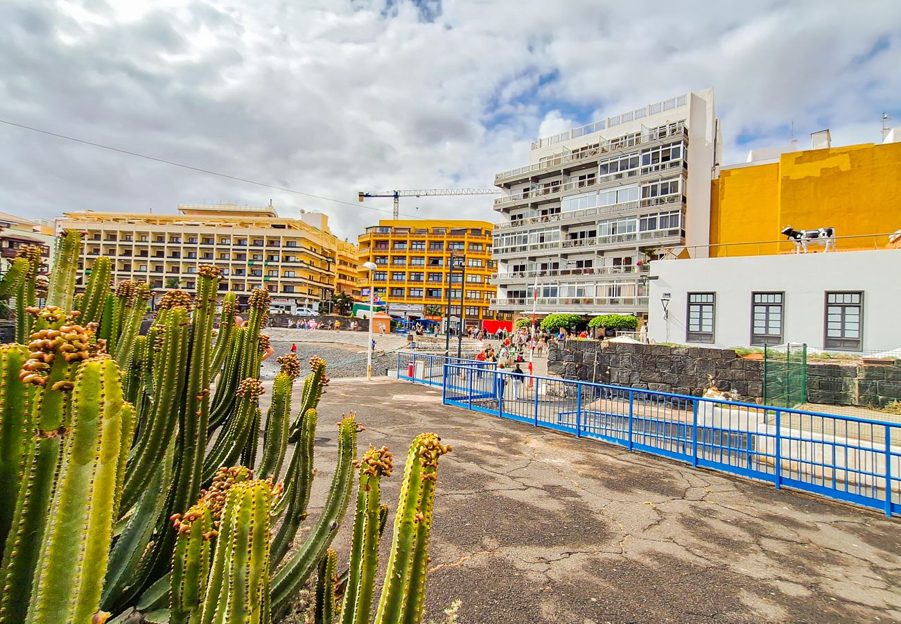 Studio in Puerto de la Cruz - STUDIO WITH VIEWS AND TERRACE IN PUERTO