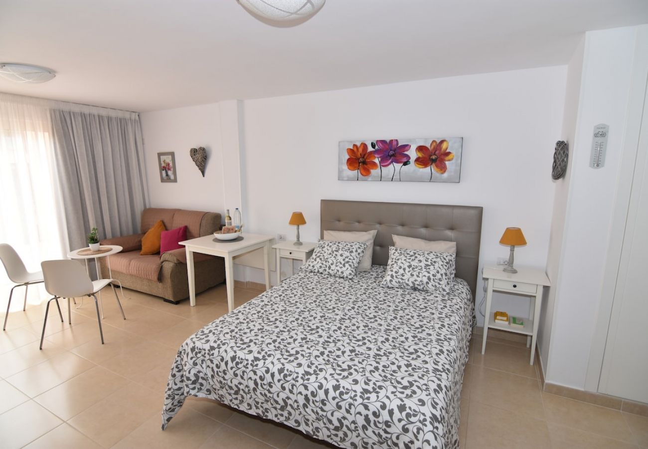 Studio in Puerto de la Cruz - Attic centre terrace unlimited Wifi satelite  tv