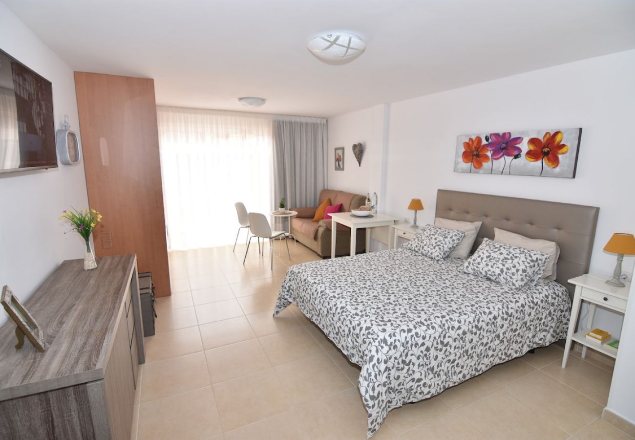 Studio in Puerto de la Cruz - Attic centre terrace unlimited Wifi satelite  tv