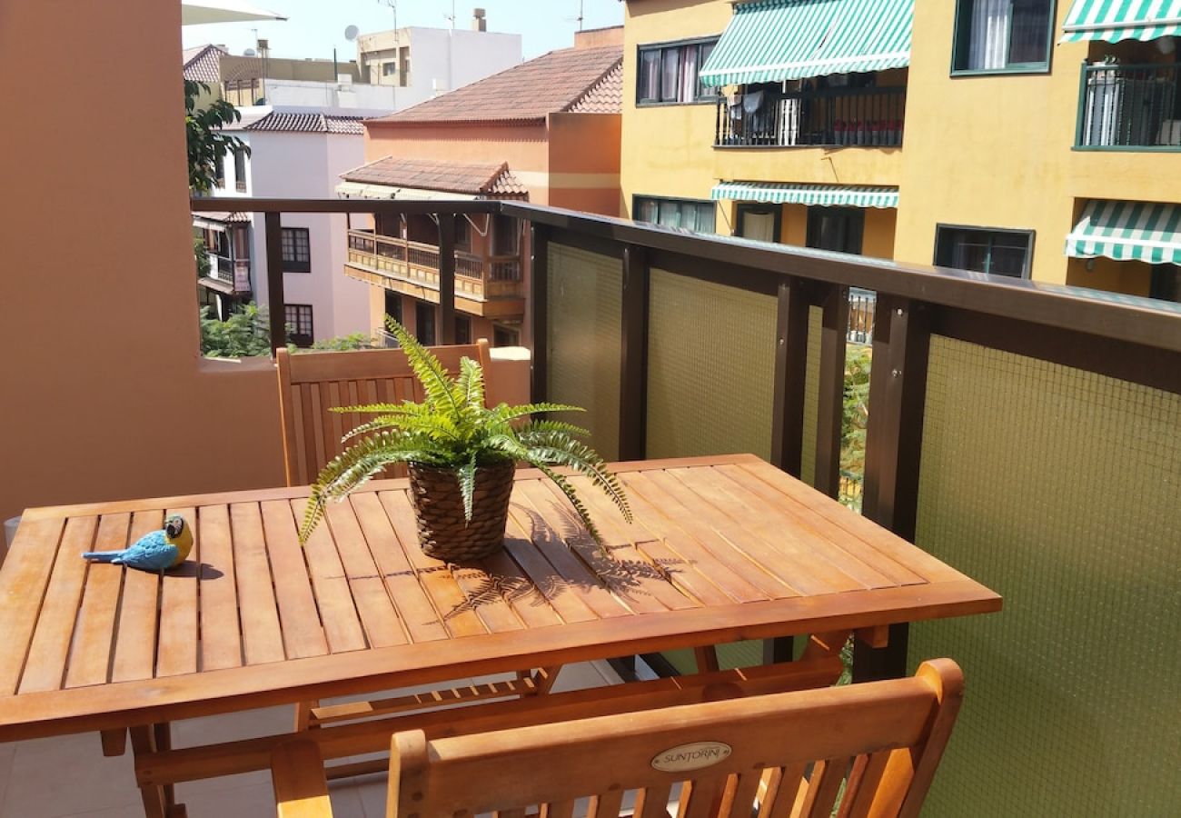 Studio in Puerto de la Cruz - Attic centre terrace unlimited Wifi satelite  tv