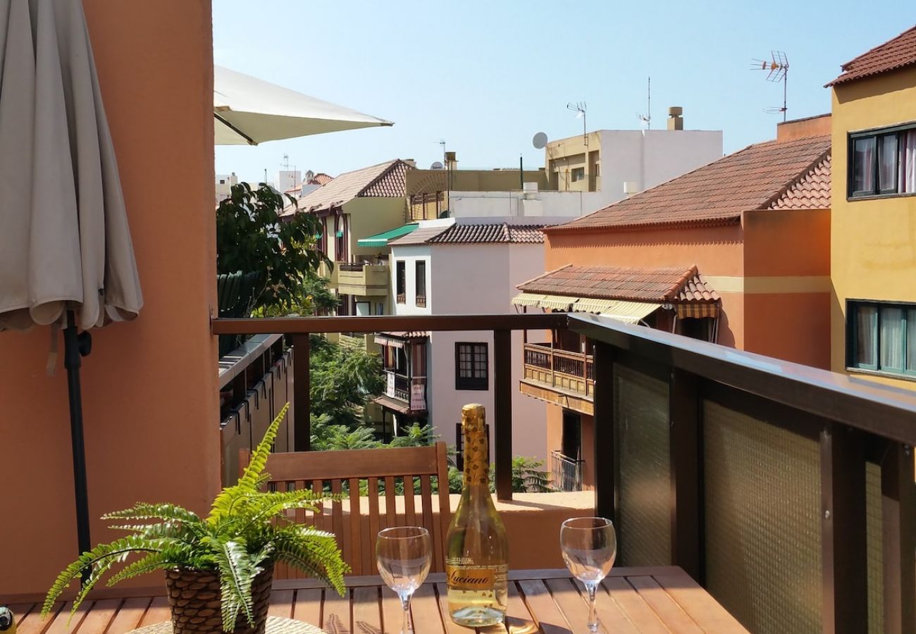 Studio in Puerto de la Cruz - Attic centre terrace unlimited Wifi satelite  tv