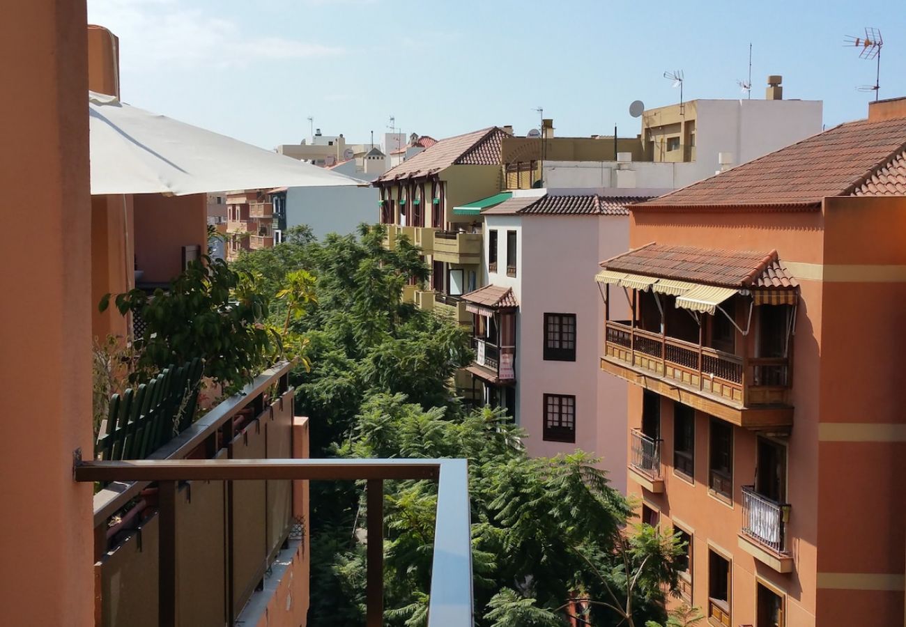 Studio in Puerto de la Cruz - Attic centre terrace unlimited Wifi satelite  tv