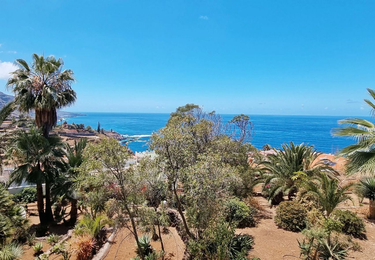 Apartment in Los Realejos - PENTHOUSE WITH BALCONY AND SEA VIEW EL BOLLULLO